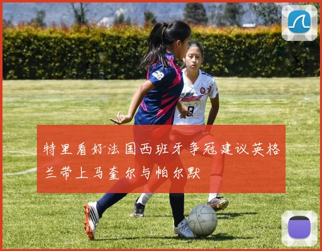 特里看好法国西班牙争冠建议英格兰带上马奎尔与帕尔默