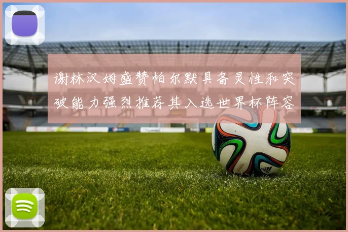谢林汉姆盛赞帕尔默具备灵性和突破能力强烈推荐其入选世界杯阵容